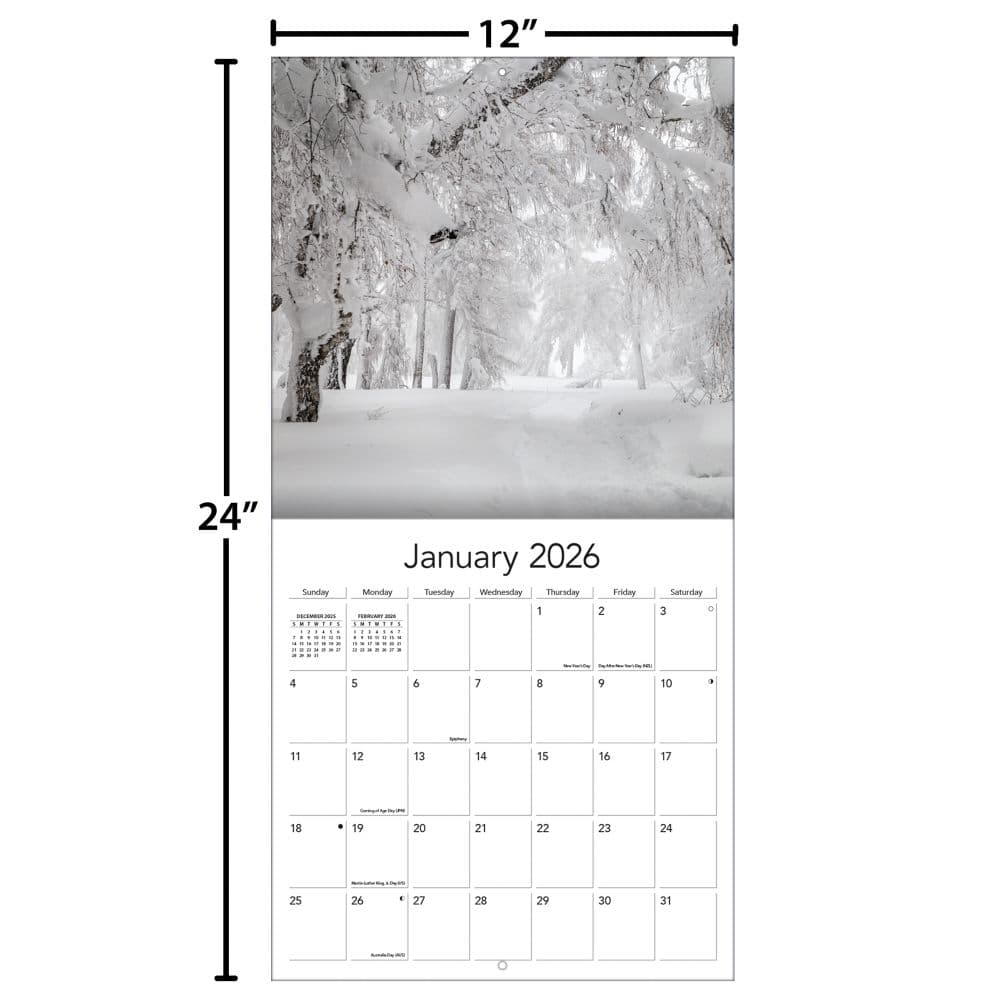 Wild and Wonderful Weather 2026 Wall Calendar_ALT5