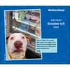 image We Rate Dogs 2025 Desk Calendar Third Alternate Image width=&quot;1000&quot; height=&quot;1000&quot;