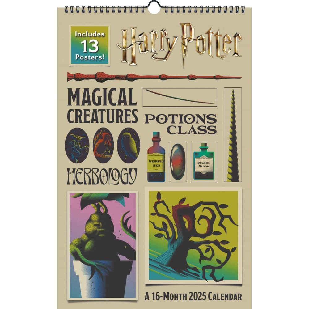 Harry Potter 2025 Poster Wall Calendar Main Image