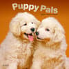 image Puppy Pals 2024 Wall Calendar Main Product Image width=&quot;1000&quot; height=&quot;1000&quot;