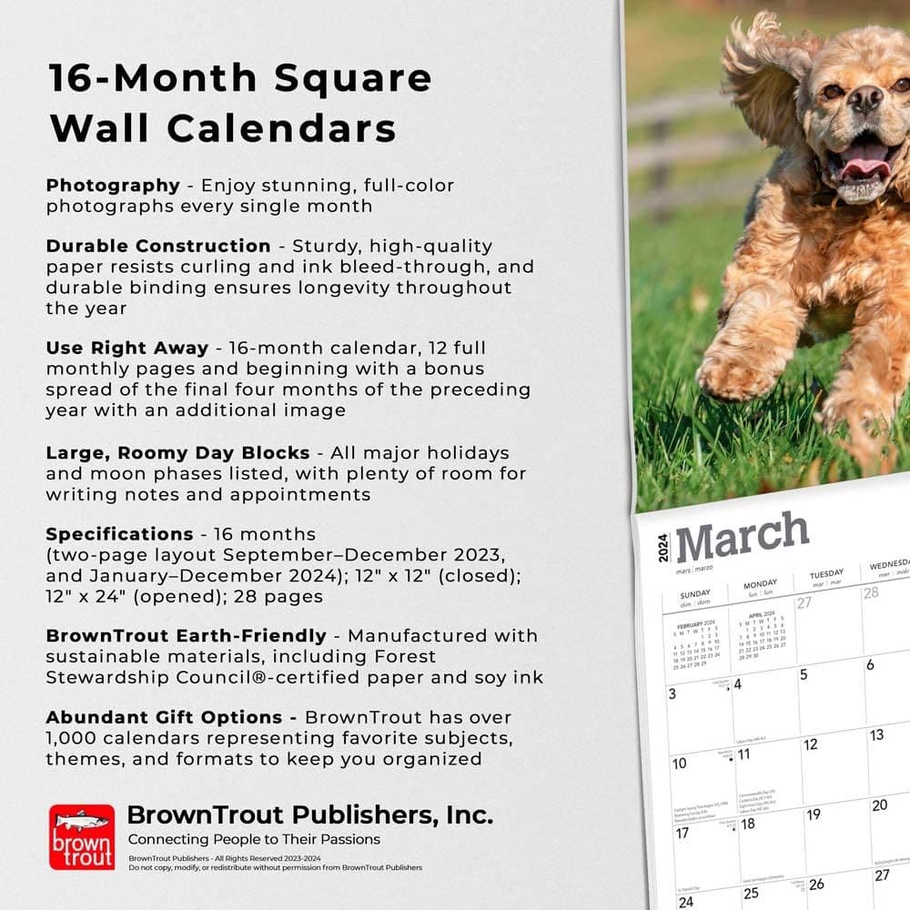 American Cocker Spaniels 2024 Wall Calendar Fourth Alternate Image width=&quot;1000&quot; height=&quot;1000&quot;