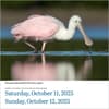 image Audubon Birds 2025 Desk Calendar Third Alternate Image width=&quot;1000&quot; height=&quot;1000&quot;