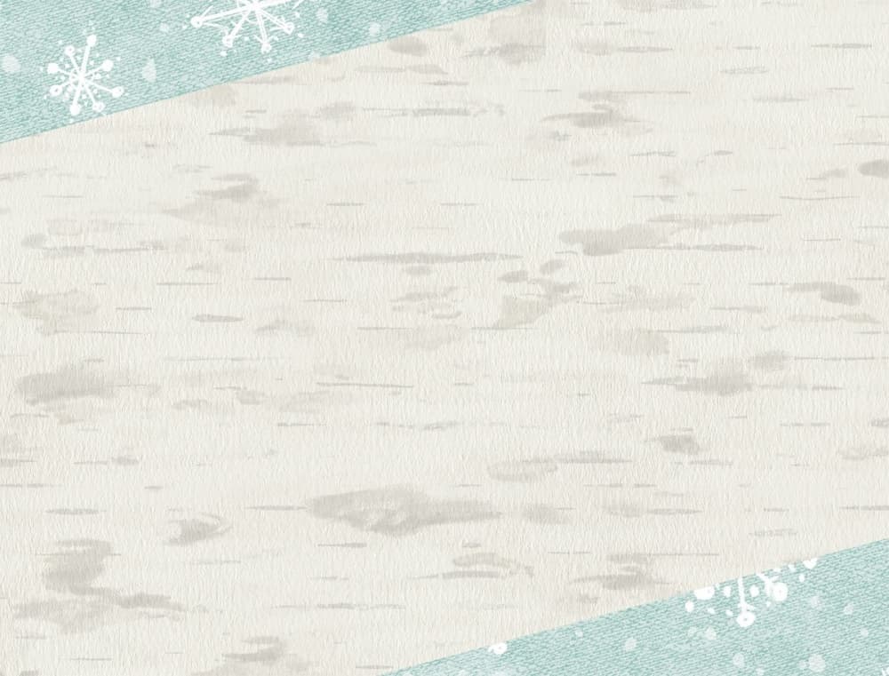 Woodland Holiday 5.375 In X 6.875 In Assorted Boxed Christmas Cards by Chad Barrett Alternate Image 6