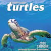 image Hawaiian Sea Turtles 2026 Wall Calendar Main Product Image