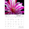 image Veralli Flowers 2024 Wall Calendar Alternate Image 2