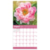 image Flowers 2025 Mini Wall Calendar August