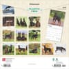 image Dobermans 2025 Wall Calendar First Alternate Image