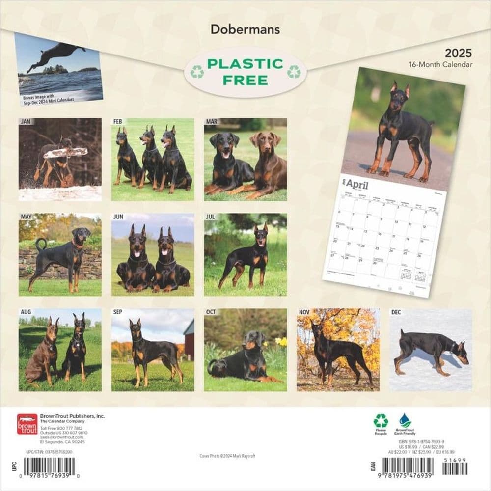 Dobermans 2025 Wall Calendar First Alternate Image