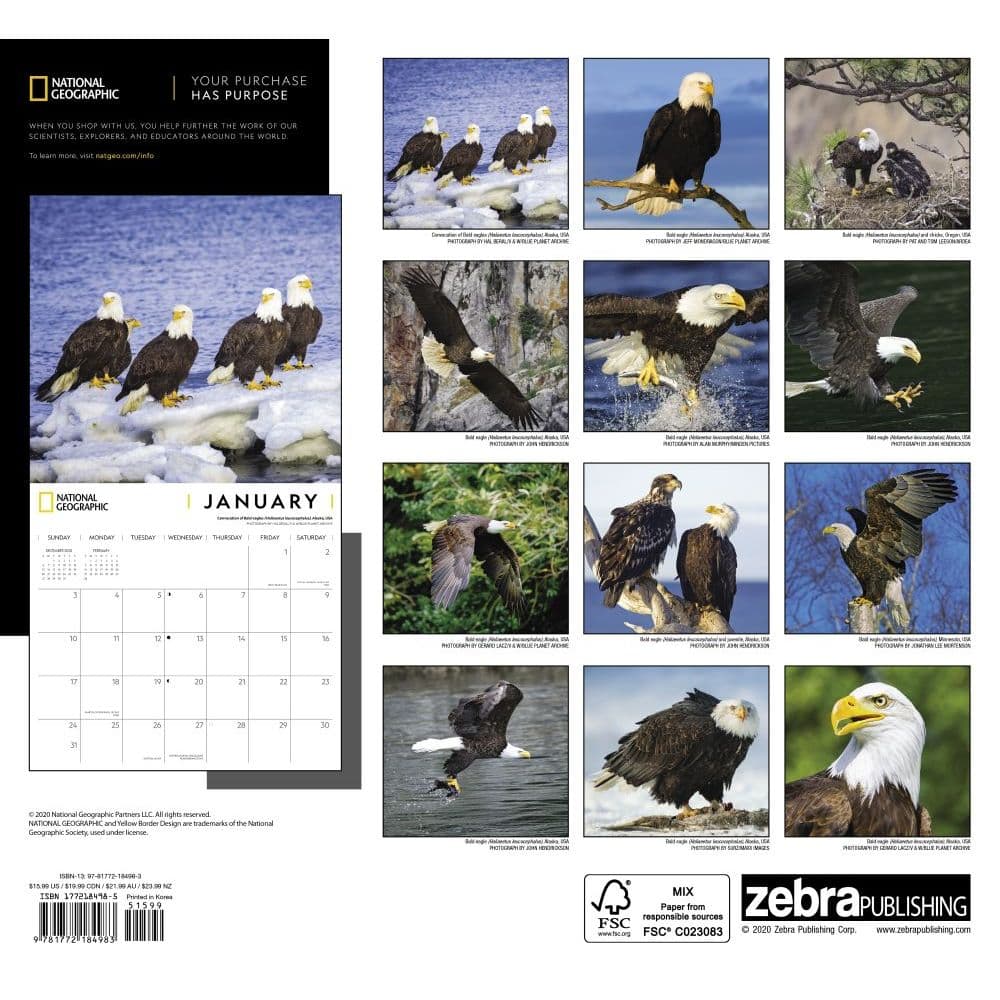 Eagles National Geographic 2021 Wall Calendar - Calendars.com