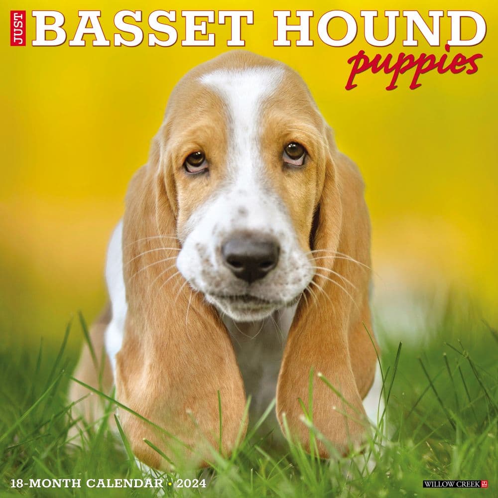 Just Basset Hound Puppies 2024 Wall Calendar Main Image