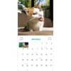 image Cats on Catnip 2026 Wall Calendar Second Alternate Image