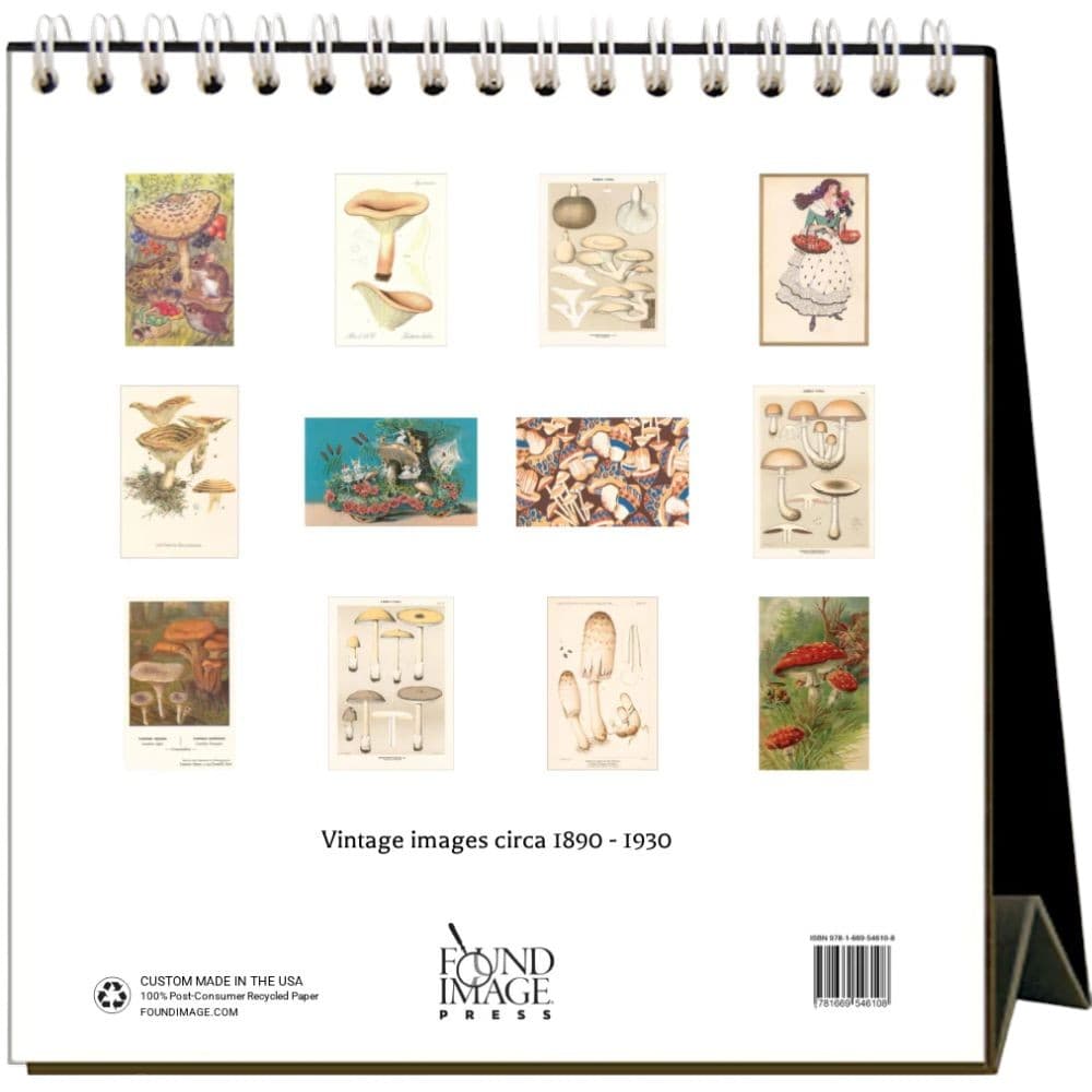 Mushrooms 2026 Easel Desk Calendar First Alternate Image