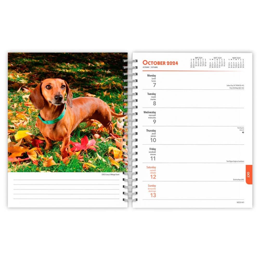 Dachshunds 2024 Planner