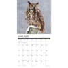 image Owls 2025 Wall Calendar Second Alternate Image width=&quot;1000&quot; height=&quot;1000&quot;