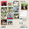 image Puppies For the Love 2026 Mini Wall Calendar