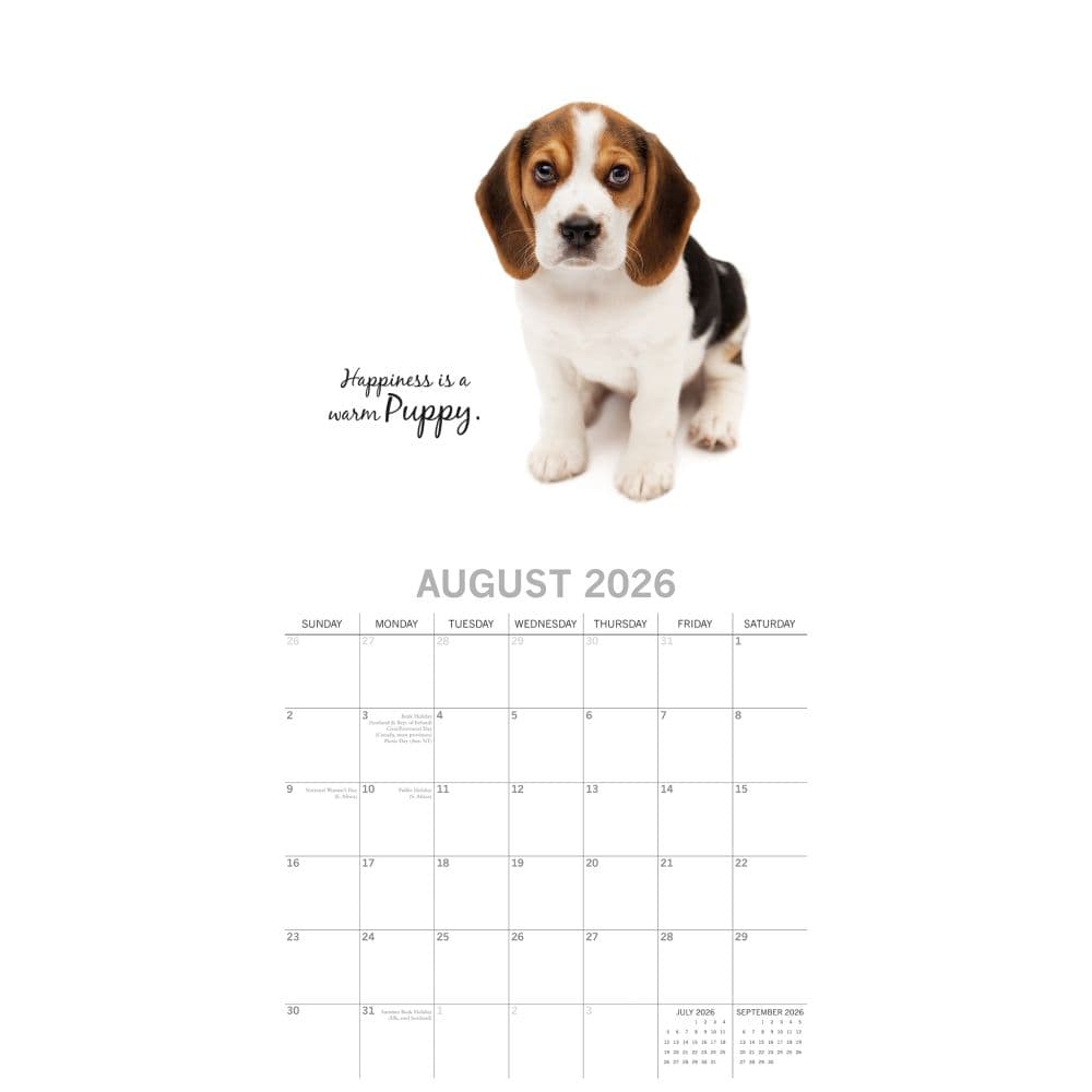 Adorable Dogs 2026 Wall Calendar Third Alternate Image