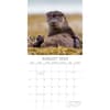 image Country Wildlife 2024 Wall Calendar Third Alternate Image width=&quot;1000&quot; height=&quot;1000&quot;