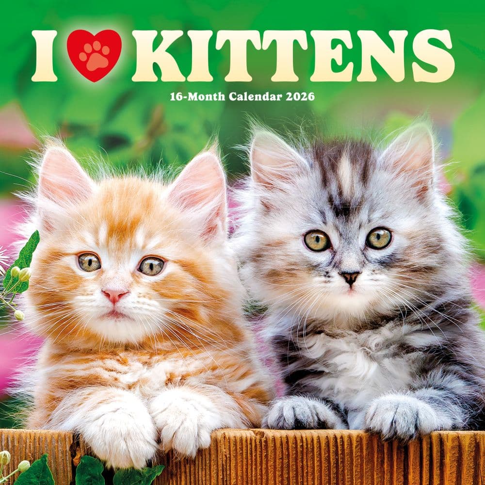 Kittens I Love 2026 Wall Calendar  Main Image