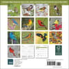 image Songbirds 2025 Mini Wall Calendar First Alternate Image width="1000" height="1000"