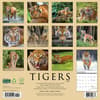 image Tigers 2025 Wall Calendar First Alternate Image width=&quot;1000&quot; height=&quot;1000&quot;