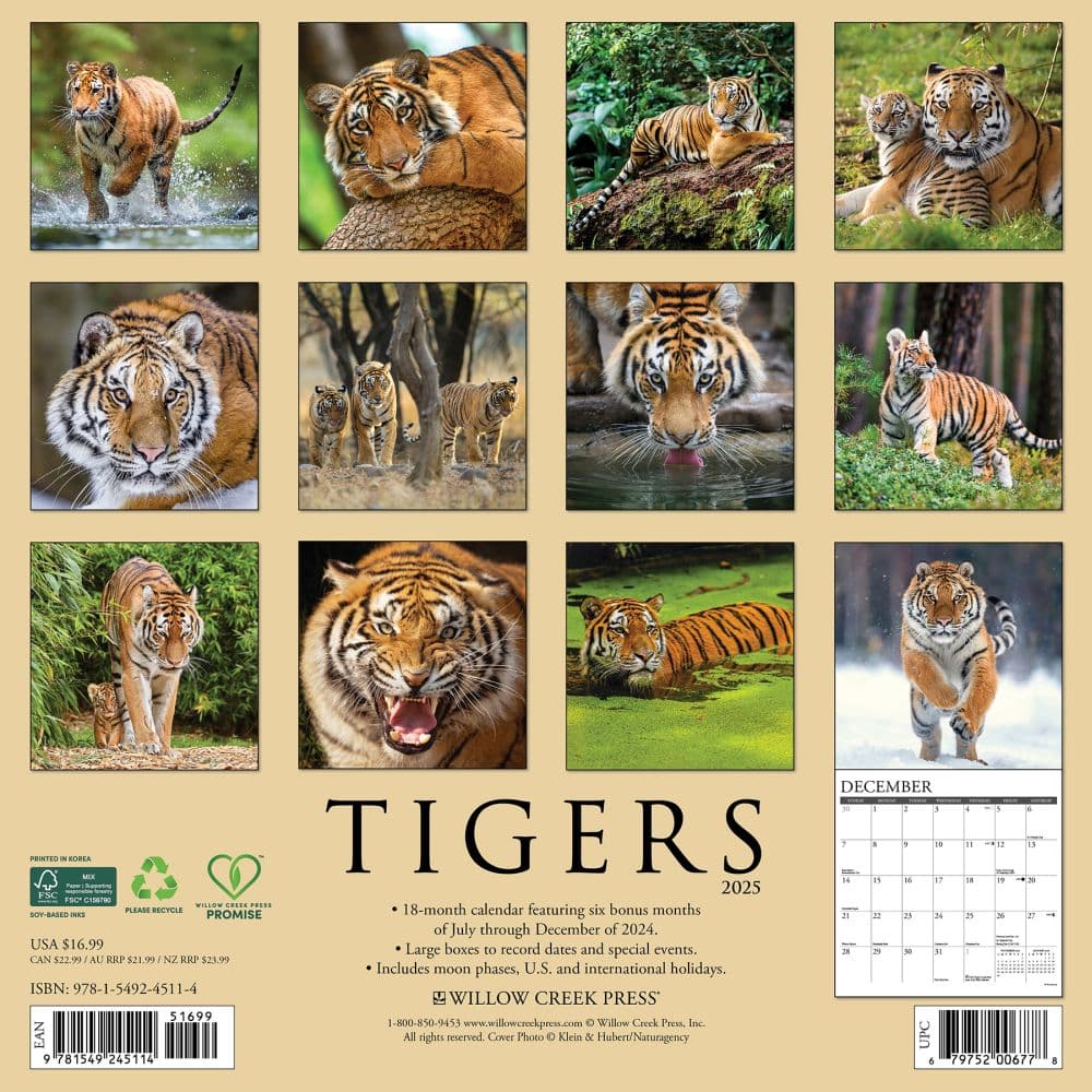 Tigers 2025 Wall Calendar First Alternate Image width=&quot;1000&quot; height=&quot;1000&quot;