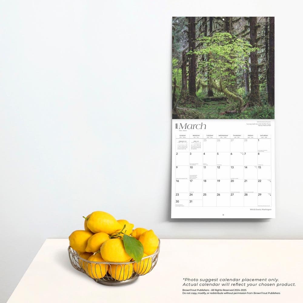 Washington Wild and Scenic 2025 Wall Calendar Third Alternate Image