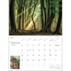 image Into the Woods Deluxe 2025 Wall Calendar Third Alternate Image width="1000" height="1000"