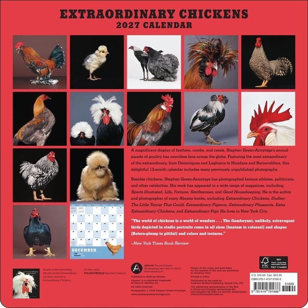 Extraordinary Chickens 2027 Wall Calendar First Alternate Image
