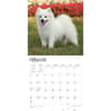 image American Eskimo Dogs 2024 Wall Calendar Second Alternate Image width=&quot;1000&quot; height=&quot;1000&quot;