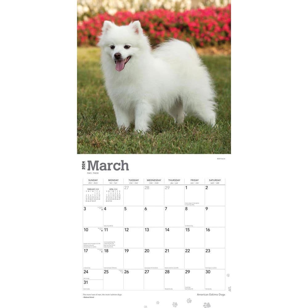 American Eskimo Dogs 2024 Wall Calendar Second Alternate Image width=&quot;1000&quot; height=&quot;1000&quot;