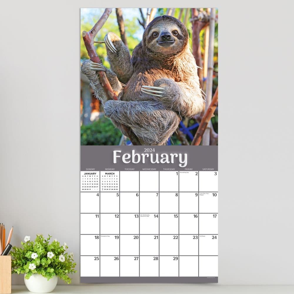 Sloths 2024 Wall Calendar