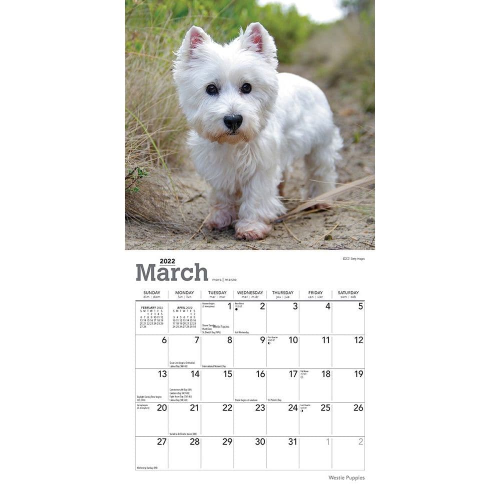 West Highland Terrier Puppies 2022 Mini Wall Calendar - Calendars.com