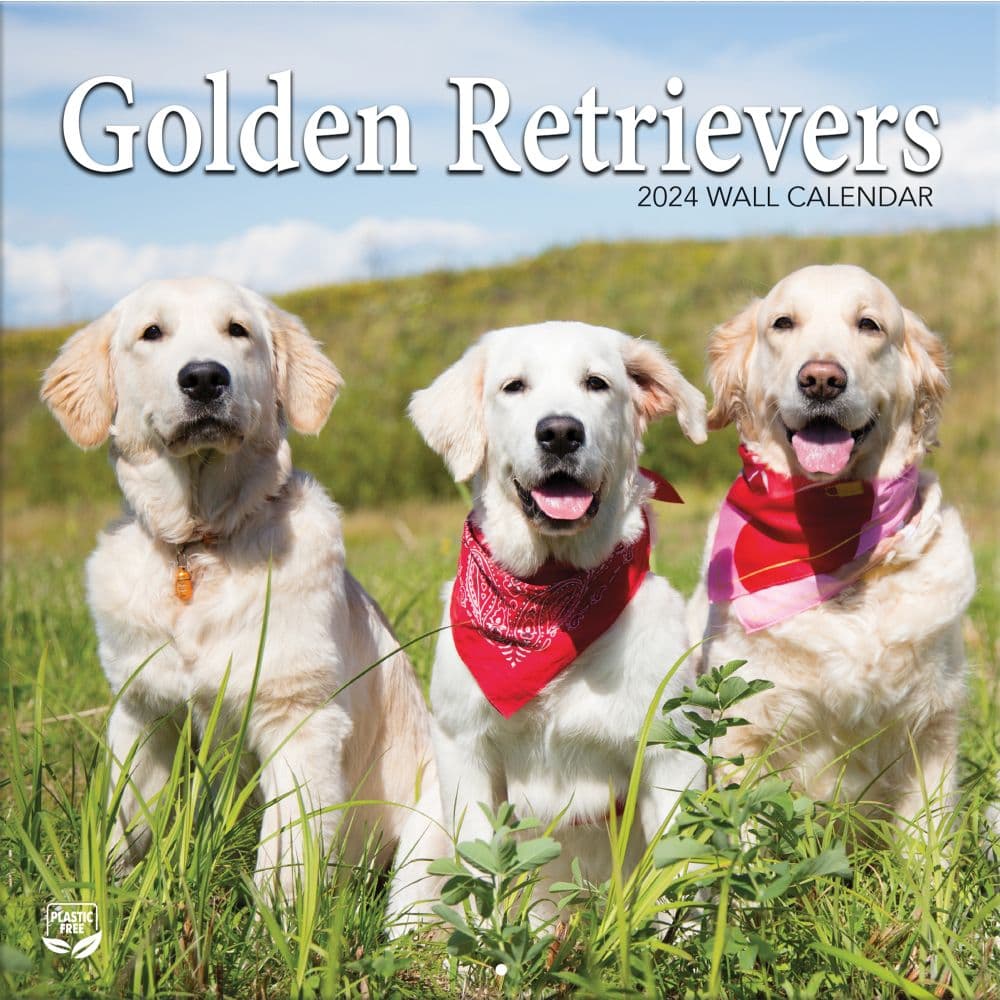 Golden Retrievers Photo 2024 Wall Calendar - Calendars.com