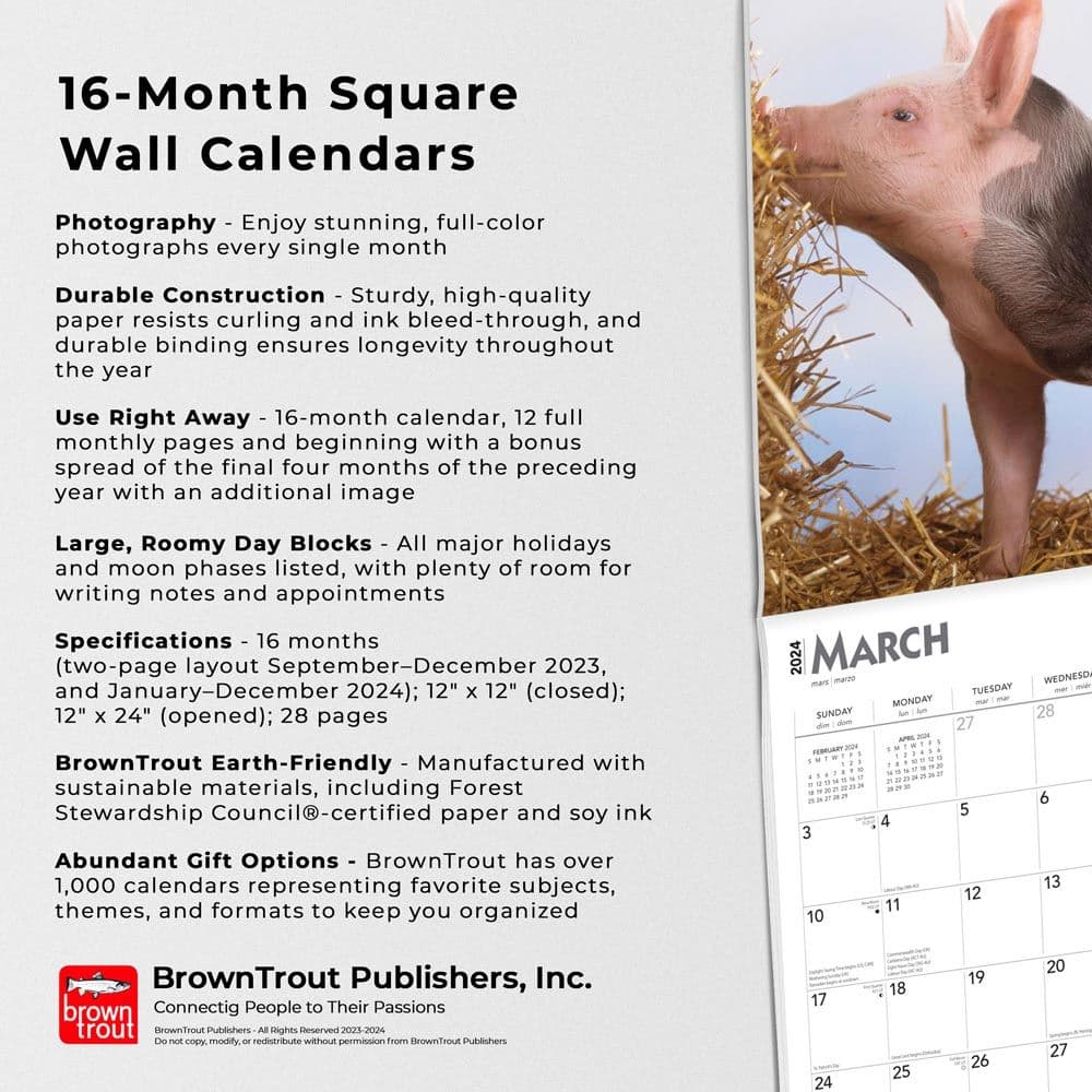 Piglets 2024 Wall Calendar