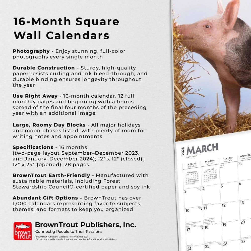 Piglets 2024 Wall Calendar Fourth Alternate Image width=&quot;1000&quot; height=&quot;1000&quot;