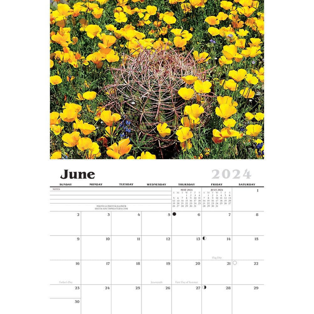 Desert In Bloom 2024 Wall Calendar Calendars Com   D1104c70 73a1 4dc7 B238 5dbd850560e0