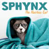 image Sphynx the Hairless Cat 2027 Wall Calendar Main Product Image