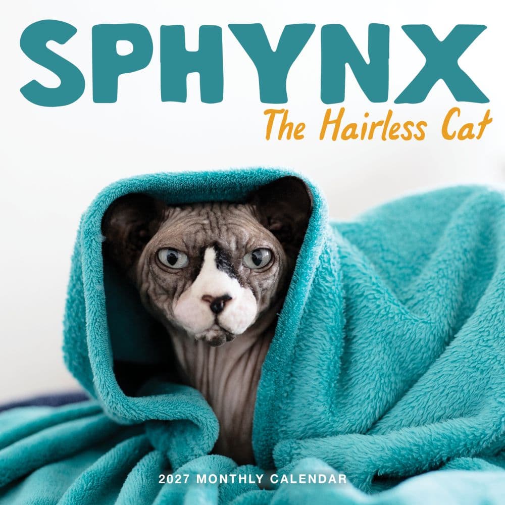 image Sphynx the Hairless Cat 2027 Wall Calendar Main Product Image