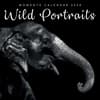 image Wild Portraits 2025 Wall Calendar Main Product Image width=&quot;1000&quot; height=&quot;1000&quot;