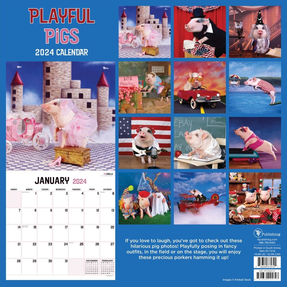 Playful Pigs 2024 Wall Calendar