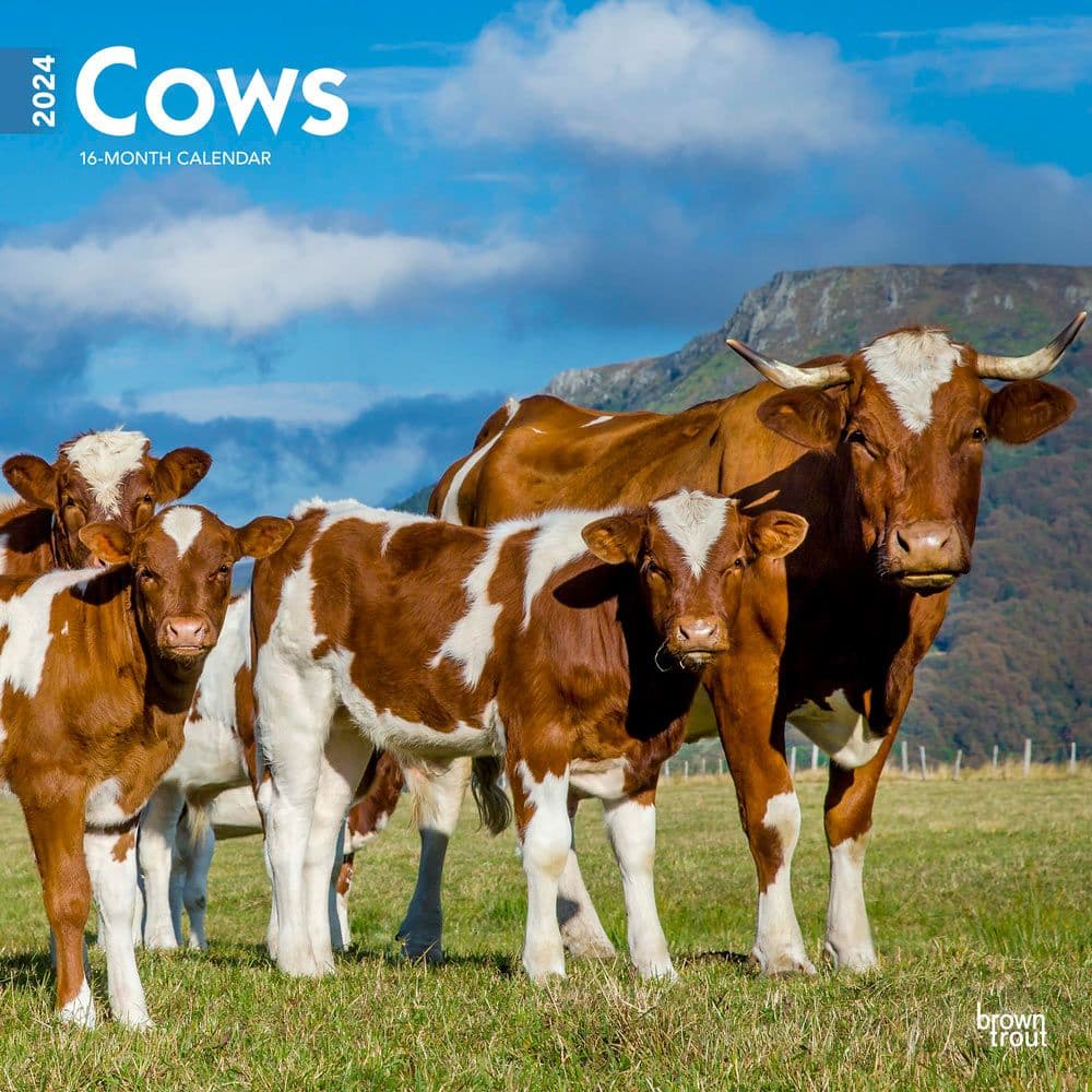 Cows 2024 Wall Calendar Main Product Image width=&quot;1000&quot; height=&quot;1000&quot;