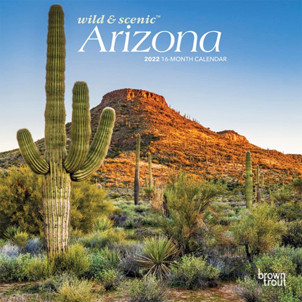 Arizona Wild and Scenic 2022 Mini Wall Calendar - Calendars.com