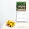 image Country Gardens 2024 Wall Calendar Third Alternate Image width=&quot;1000&quot; height=&quot;1000&quot;