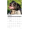 image Just Brittanys 2025 Wall Calendar