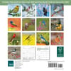 image Songbirds 2026 Mini Wall Calendar First Alternate Image