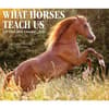image What Horses Teach Us 2026 Desk Calendar Fourth Alternate Image