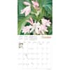 image Kew Gardens Exotic Plants 2025 Wall Calendar Third Alternate Image 