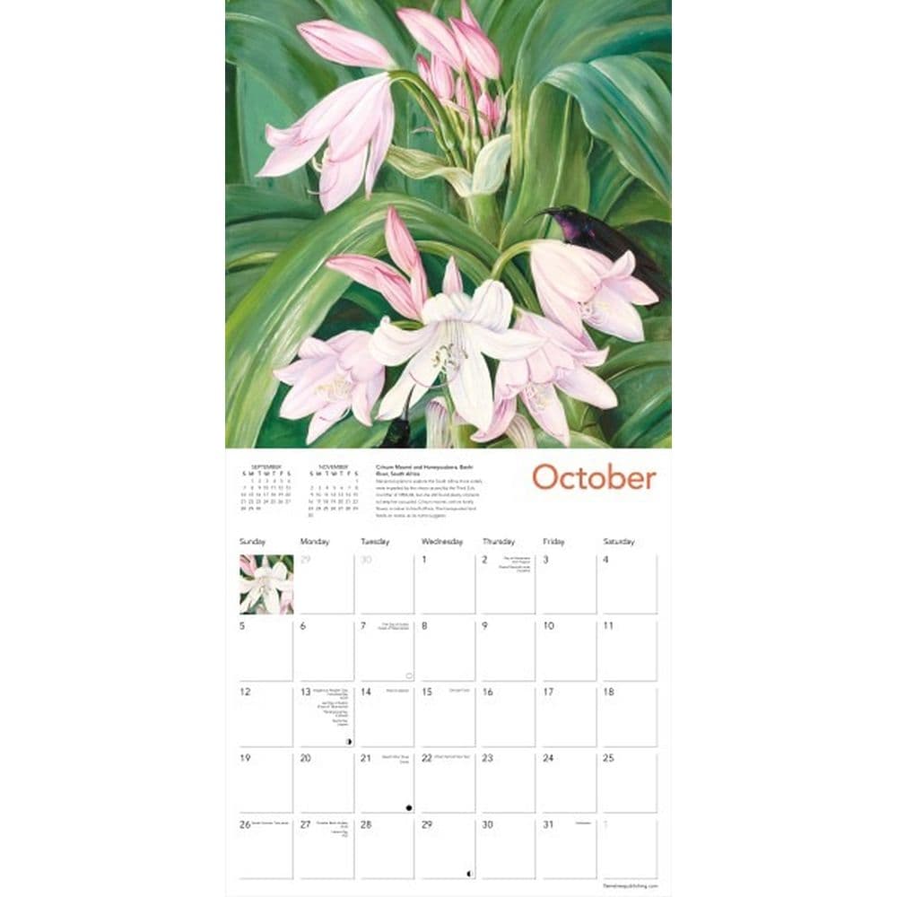 Kew Gardens Exotic Plants 2025 Wall Calendar Third Alternate Image 