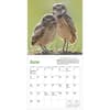 image Audubon Little Owls 2025 Mini Wall Calendar Second Alternate Image width="1000" height="1000"