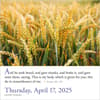 image Bible Verses 2025 Page-a-Day Desk Calendar Third Alternate Image